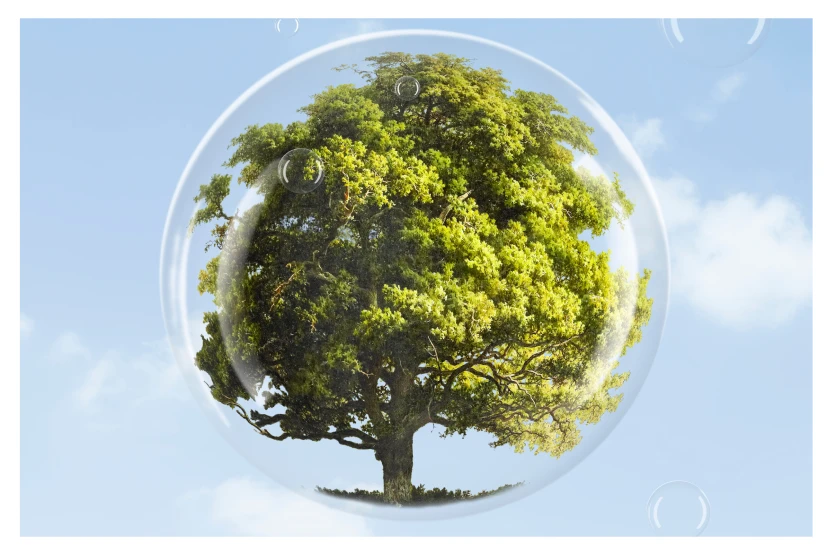 Sustainability